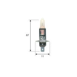 LAMPARA HALOGENA H-1 12V 55W 10UDS